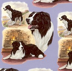 Doggy 2